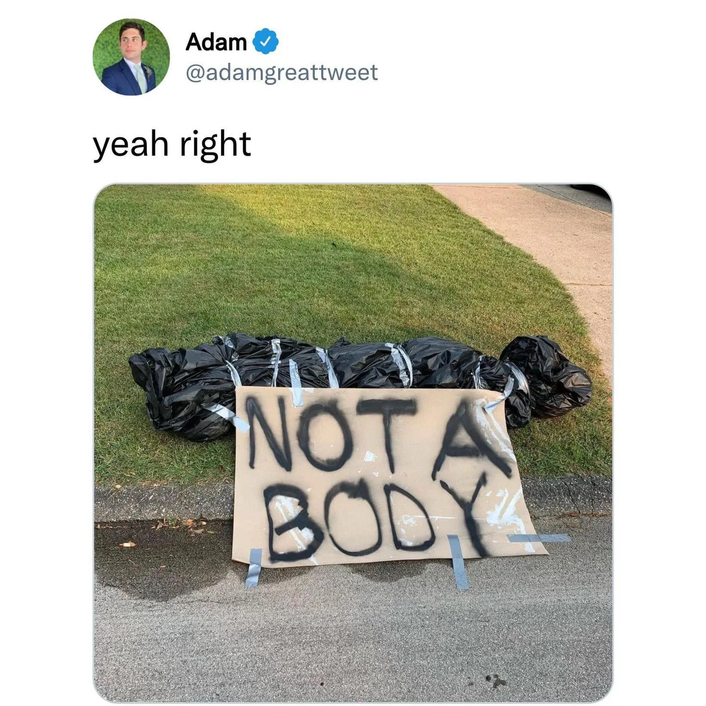 garbage meme