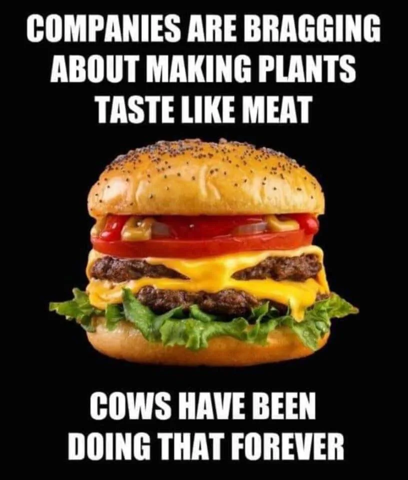 vegetarianism meme