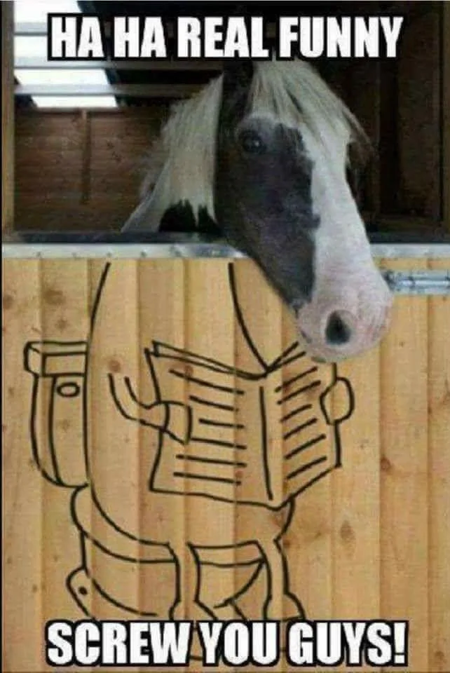 horse meme