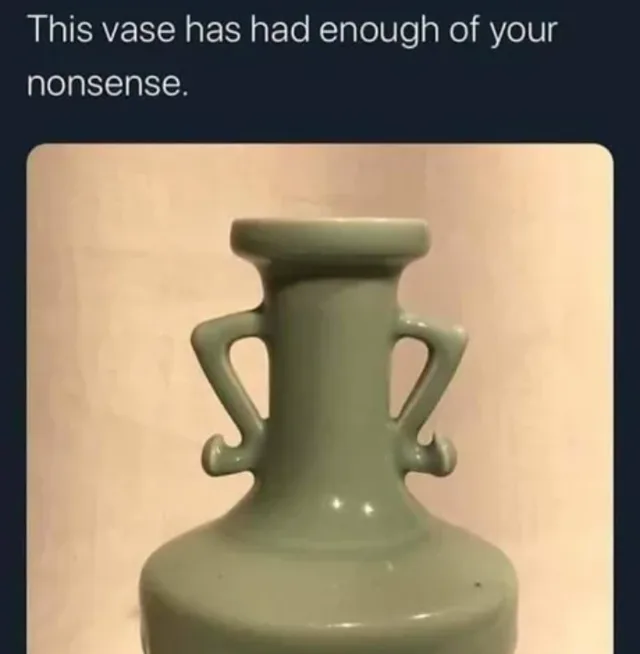 vase meme