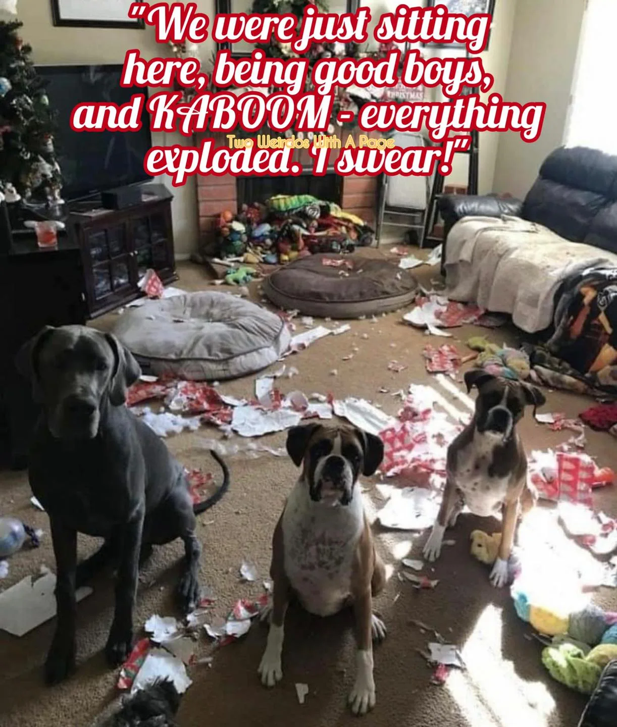 bad behavior meme