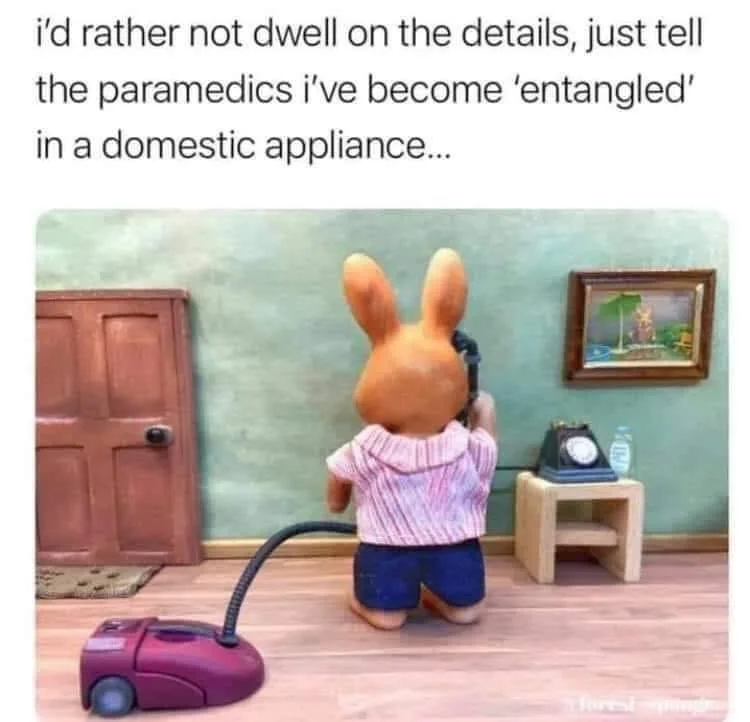 vacuum meme