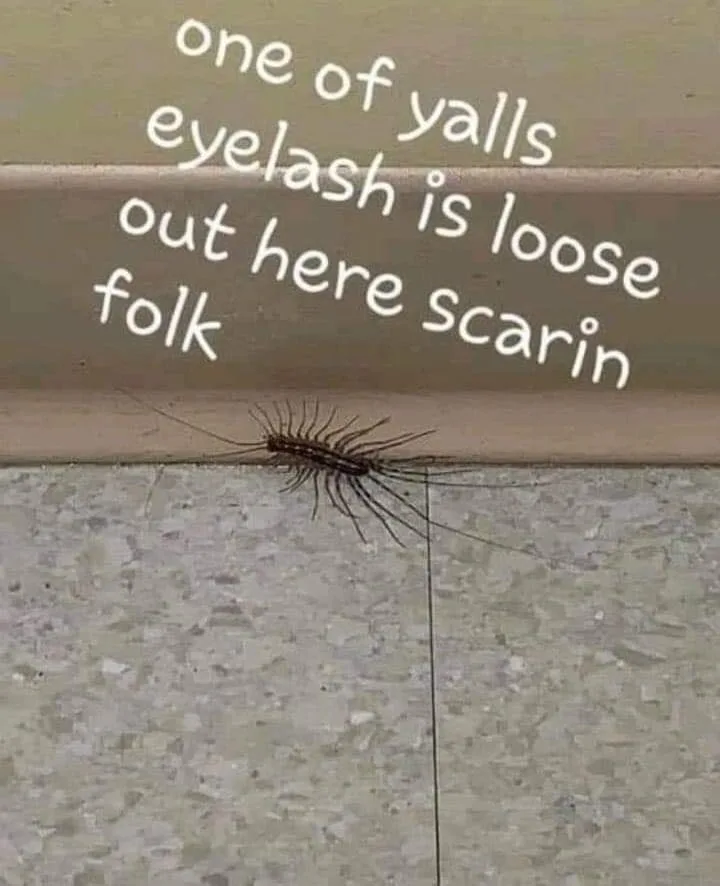eyelash meme