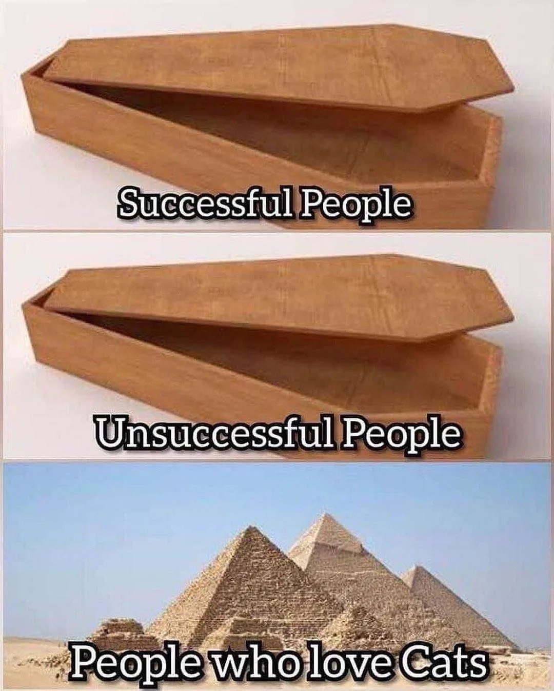 coffin meme