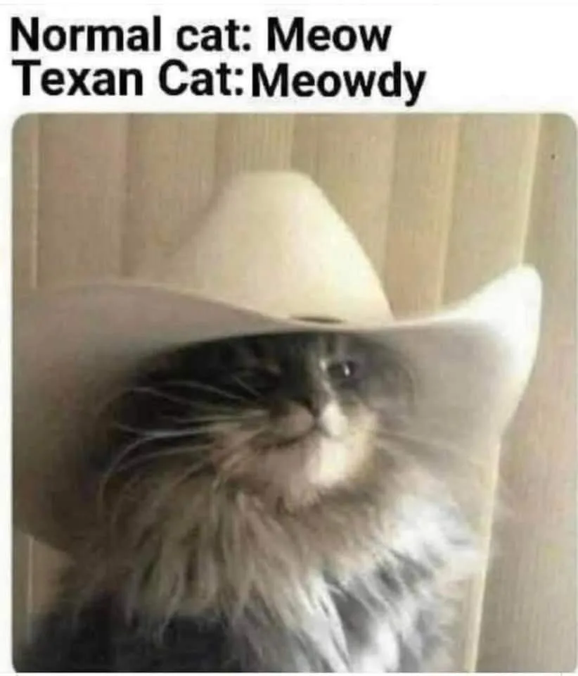 Texan meme