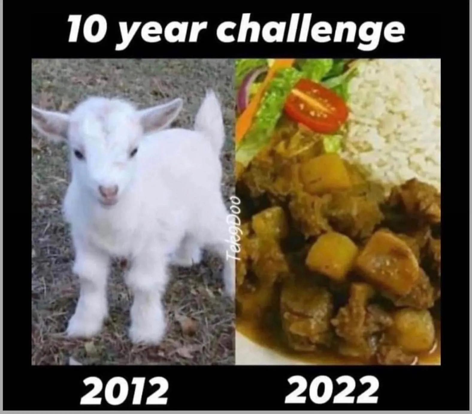 curry meme