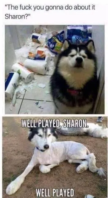bad behavior meme