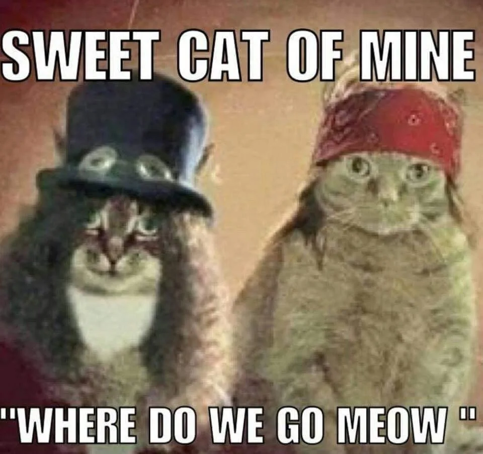 Guns and Roses meme