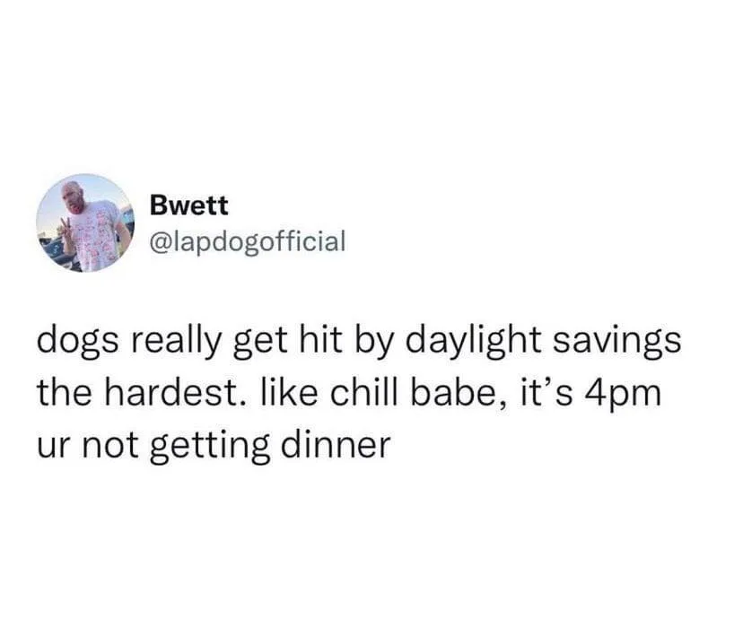 daylight saving time meme