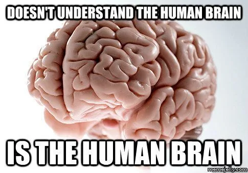 brain meme