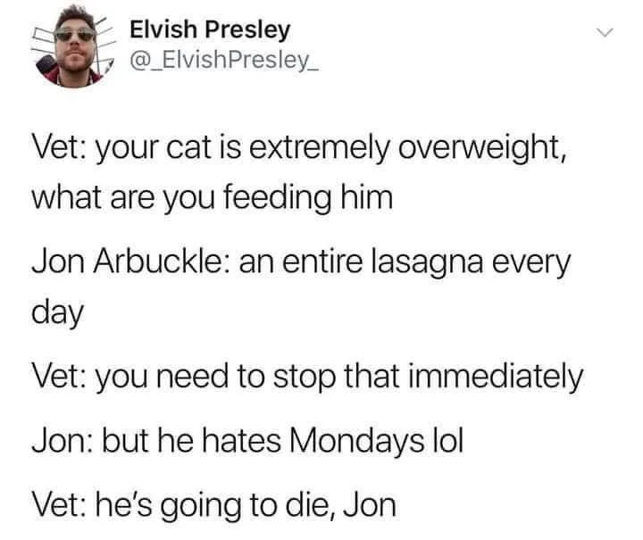 lasagna meme