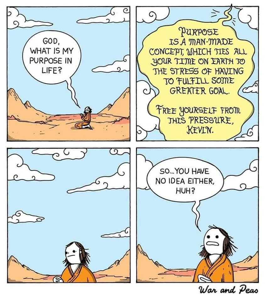 purpose of life meme