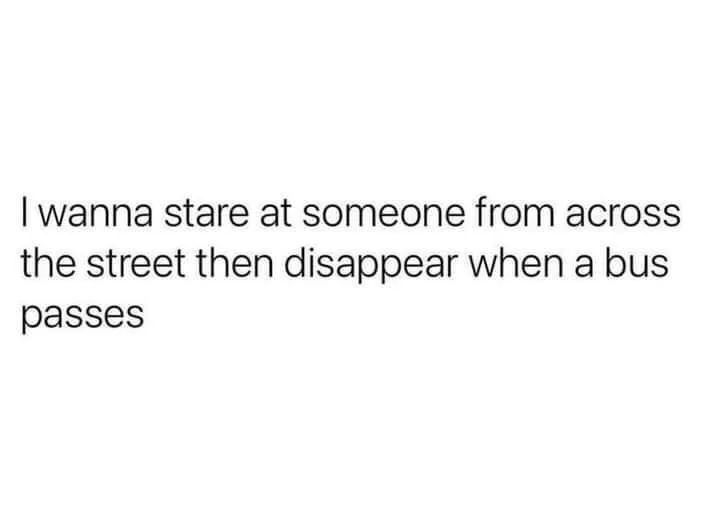 bus meme