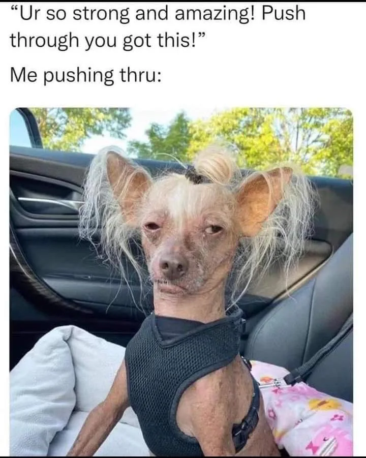 surviving meme