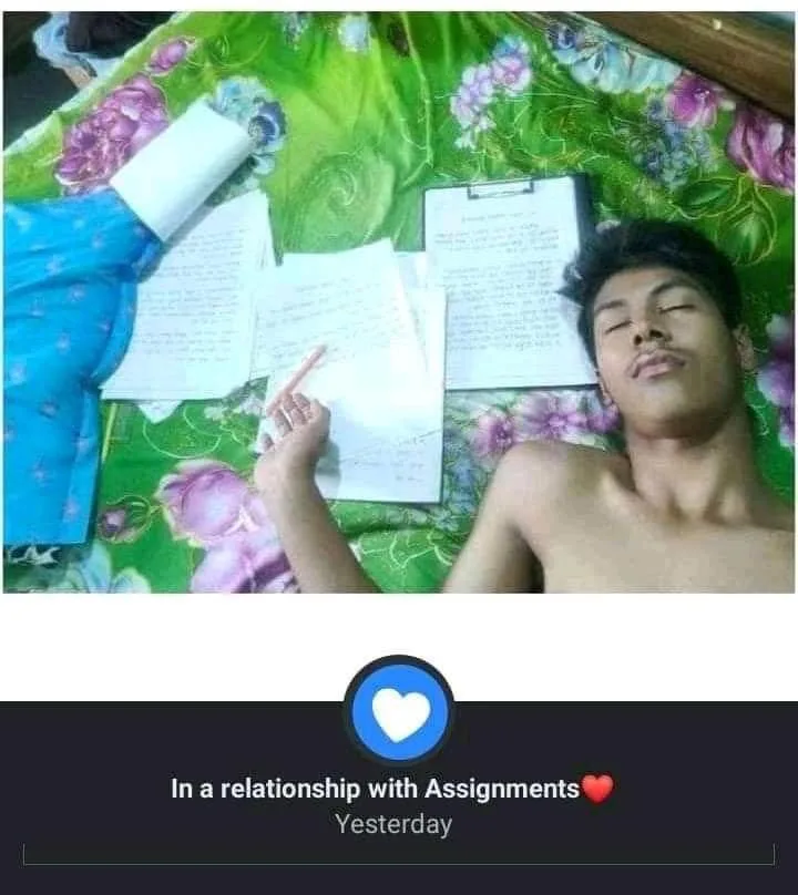 homework meme