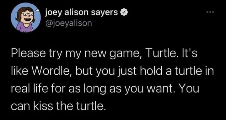 turtle meme