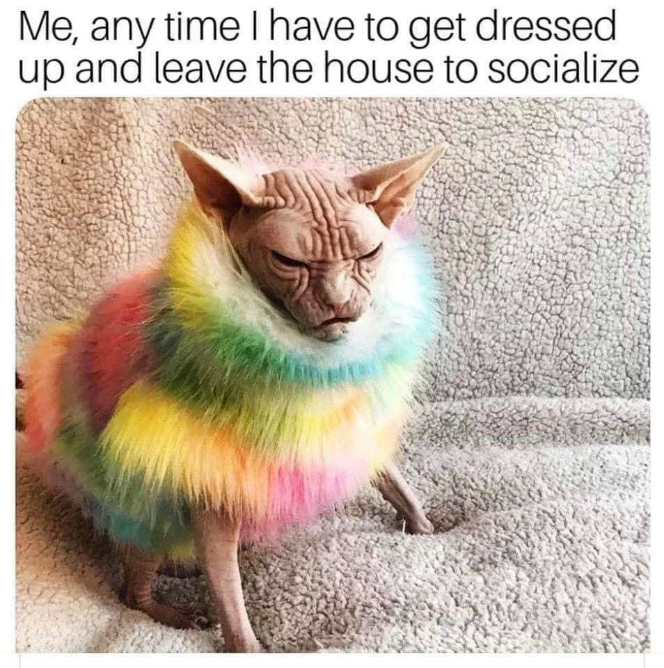 homebody meme