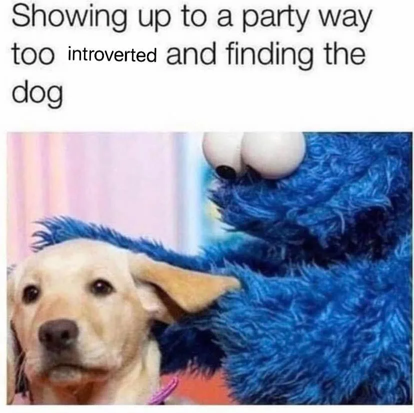 dog lover meme