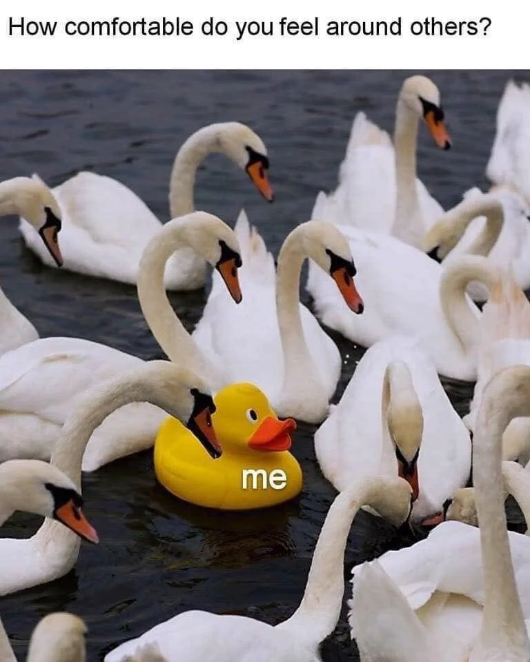 social anxiety meme