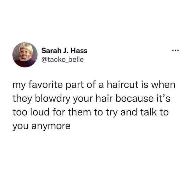 salon meme
