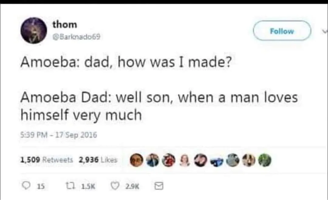 amoeba meme