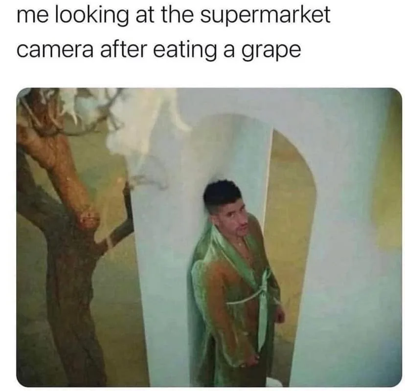 sample meme