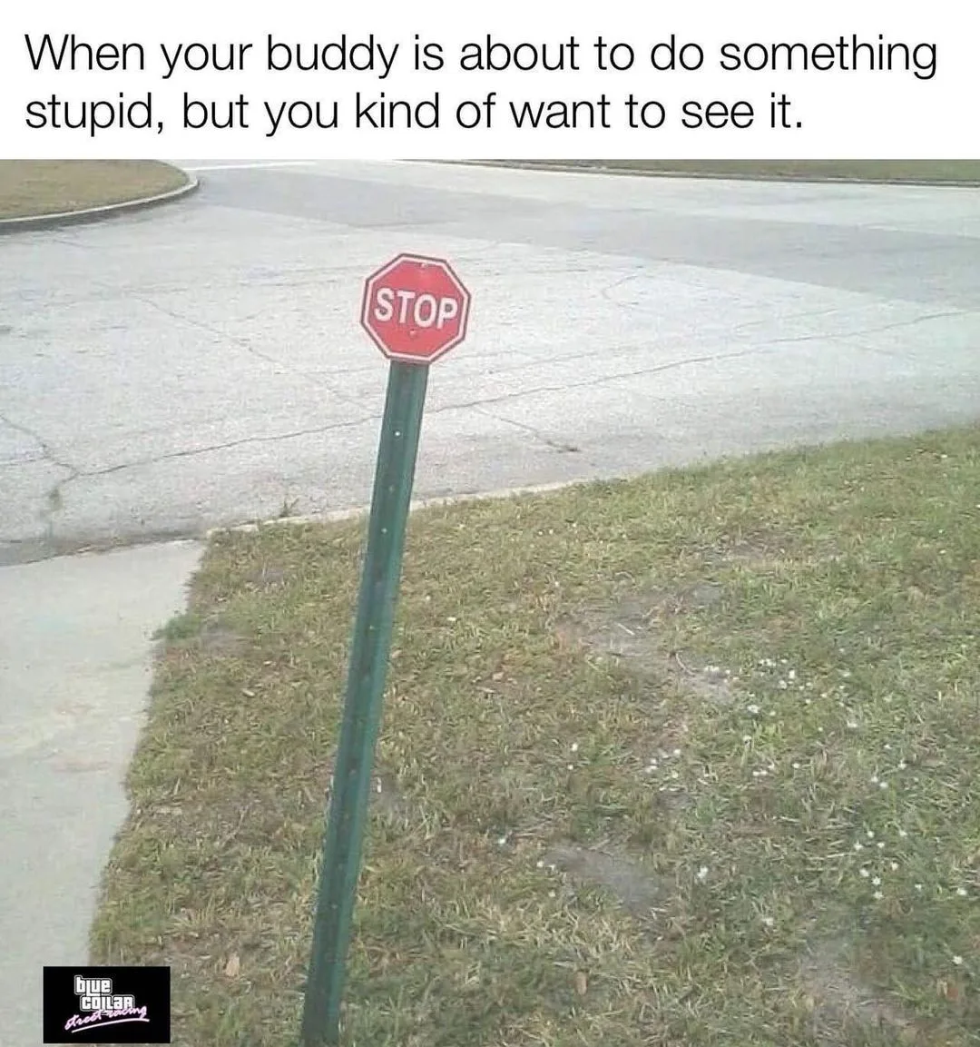 risk-taking meme