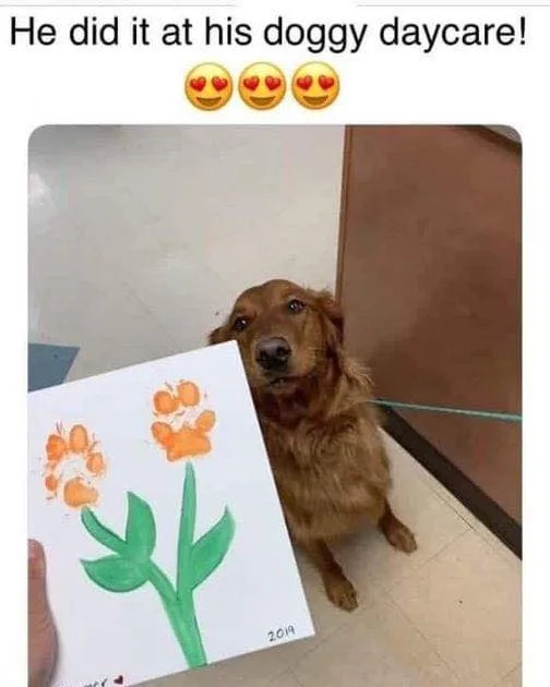 doggy daycare meme