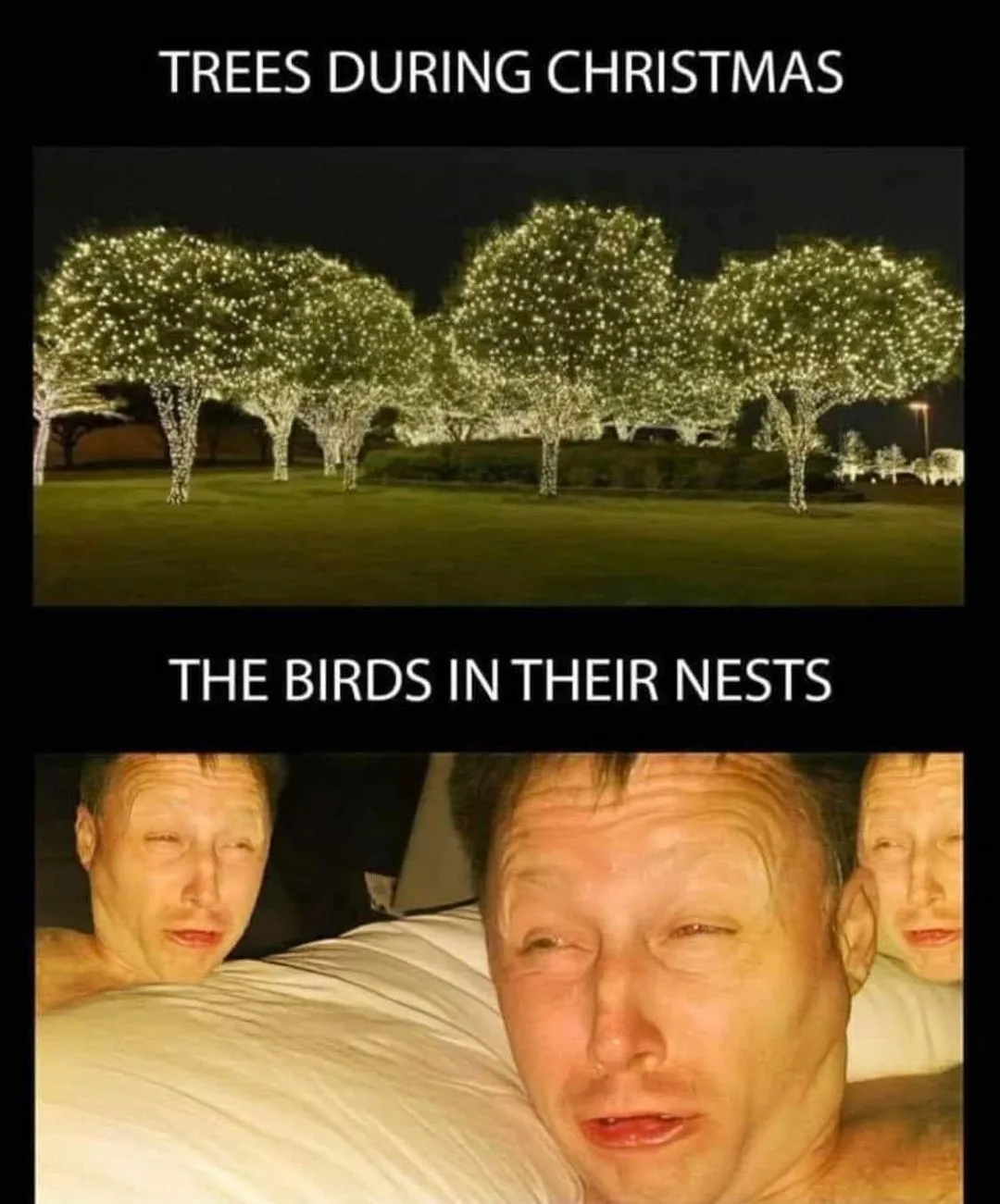 Christmas lights meme