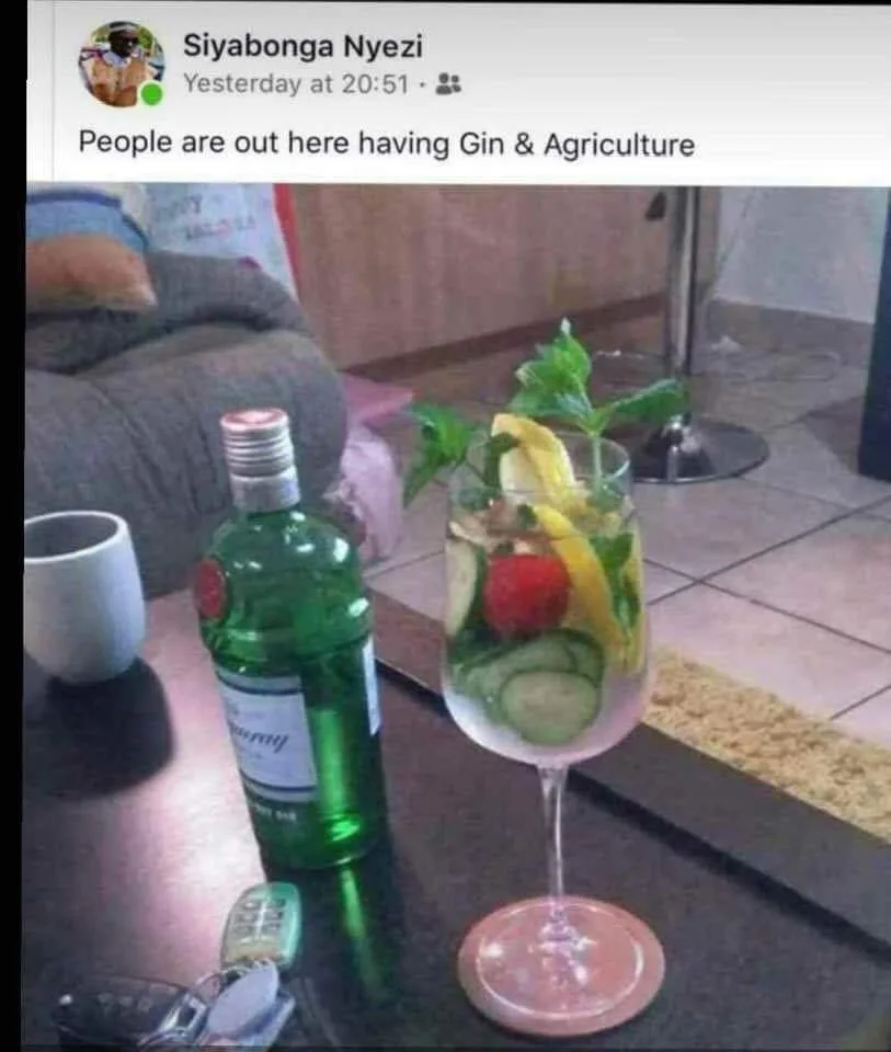 cocktail meme