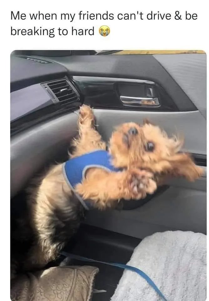 reckless driving meme