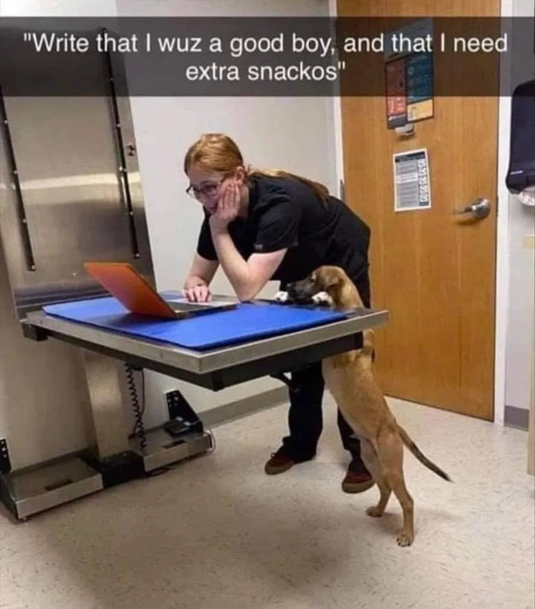 dog treat meme