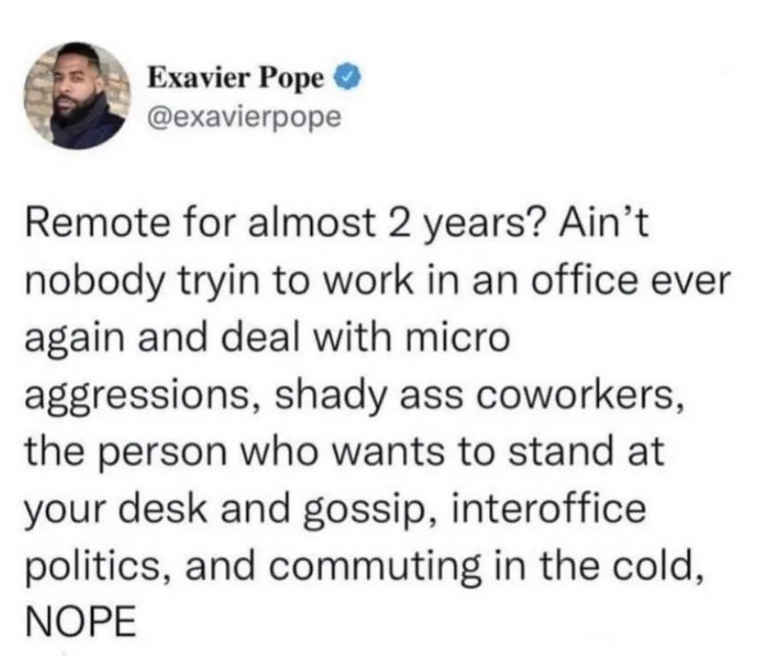 working remotely meme