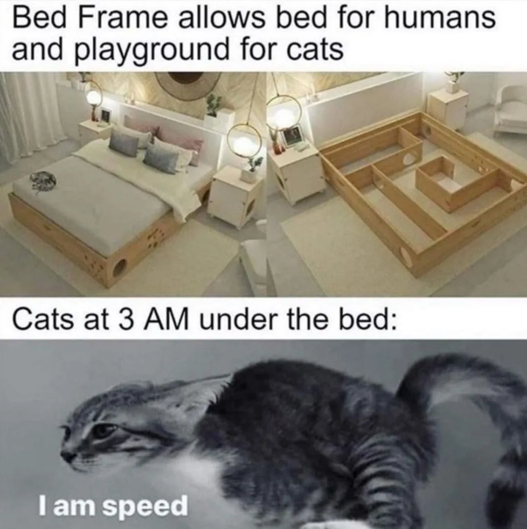 3 a.m. meme