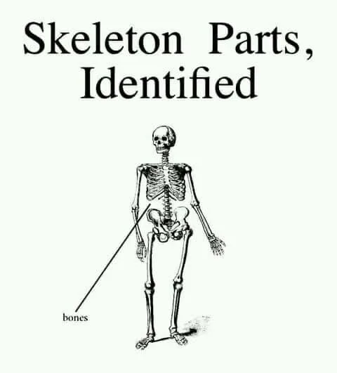 skeleton meme