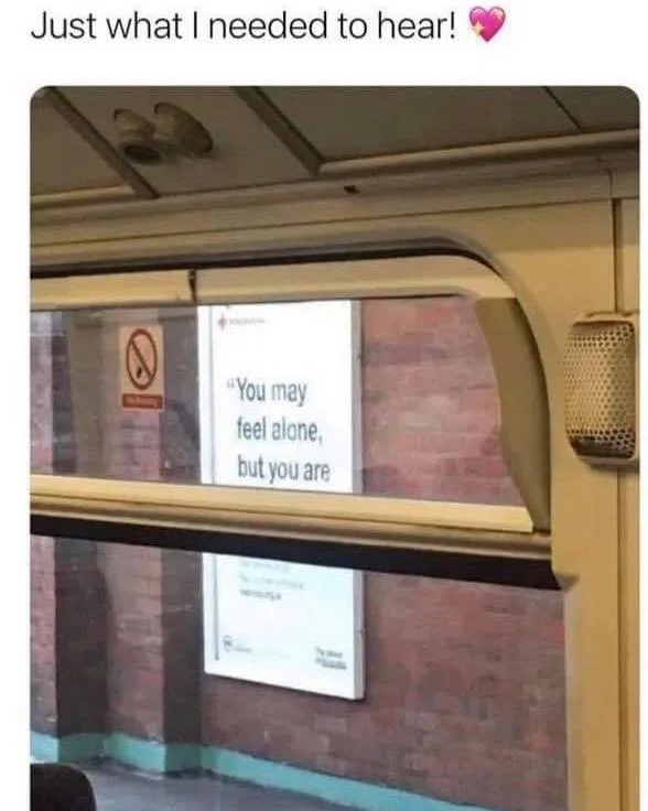 alone meme