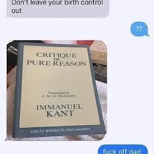 critique of pure reason meme