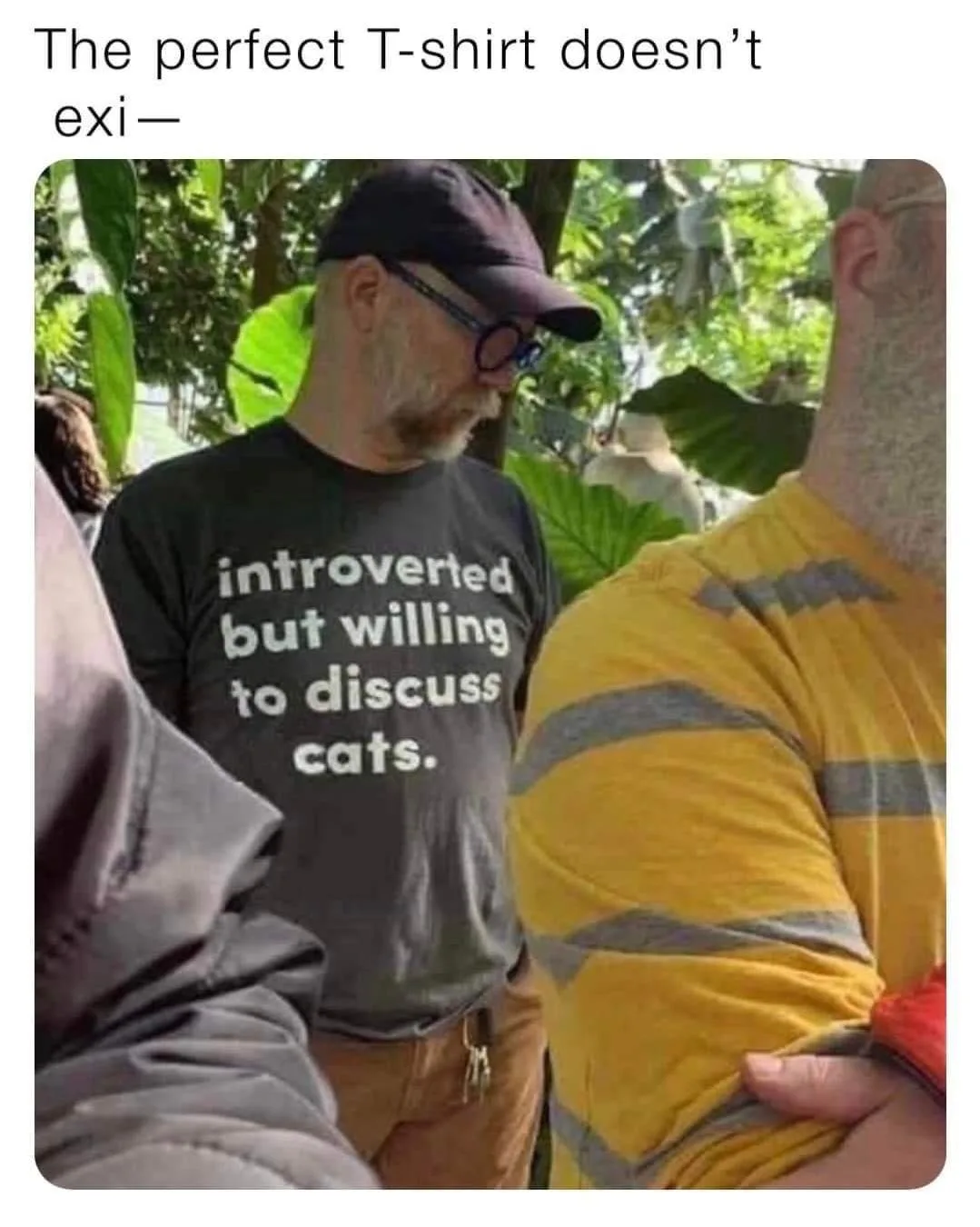 cat lover meme