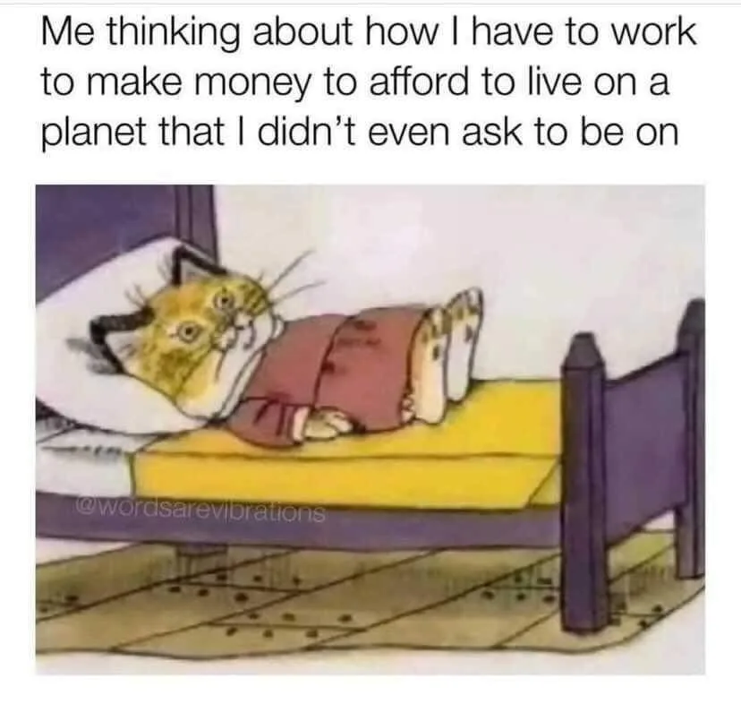 thrownness meme