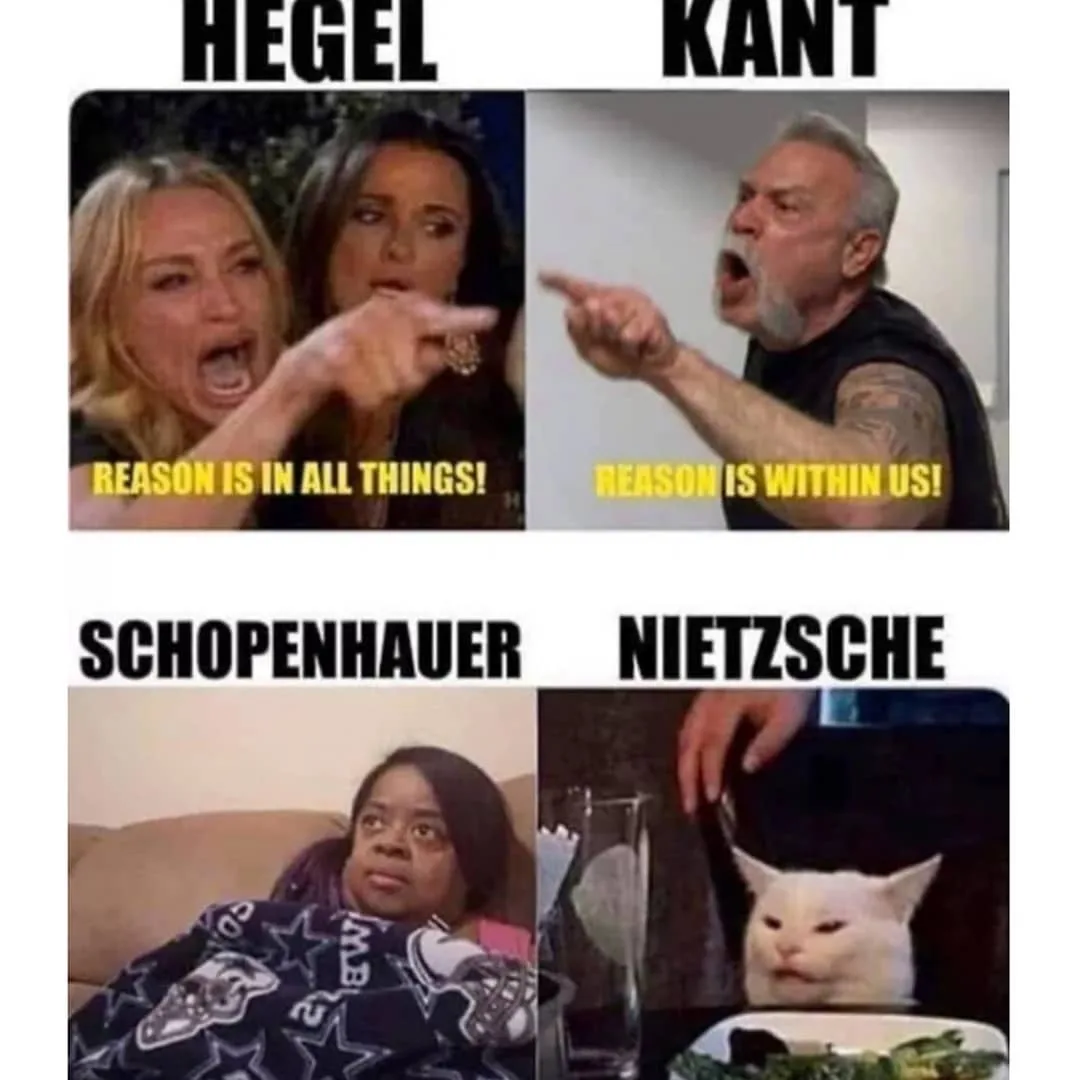 Arthur Schopenhauer meme