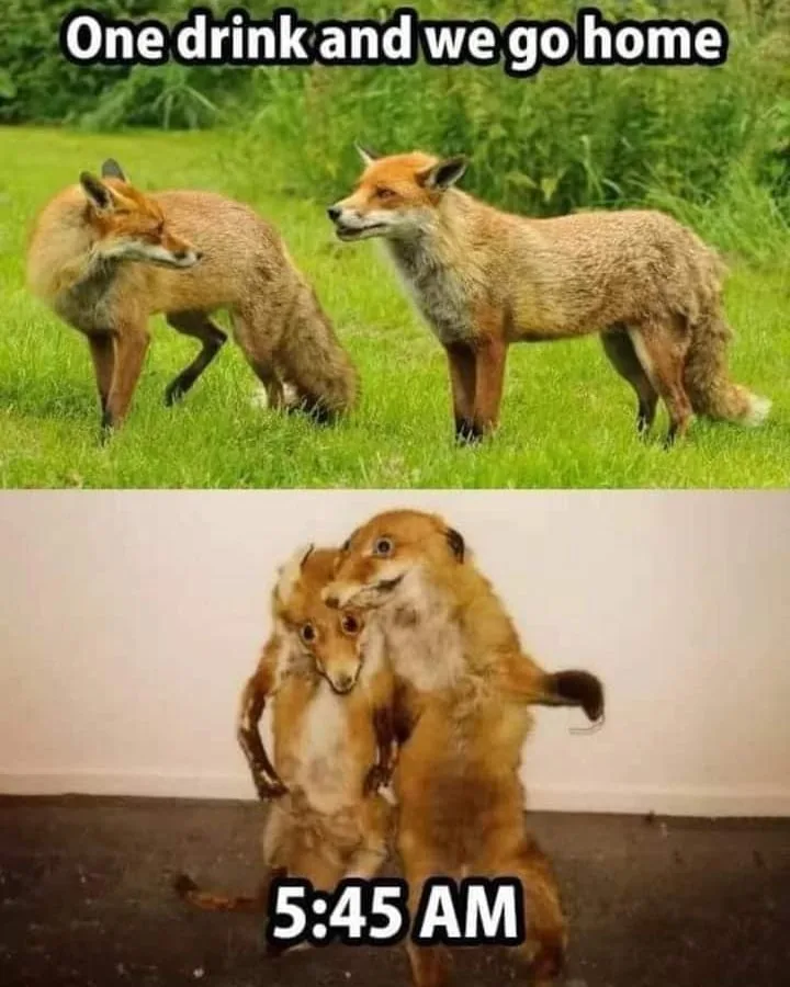going out meme