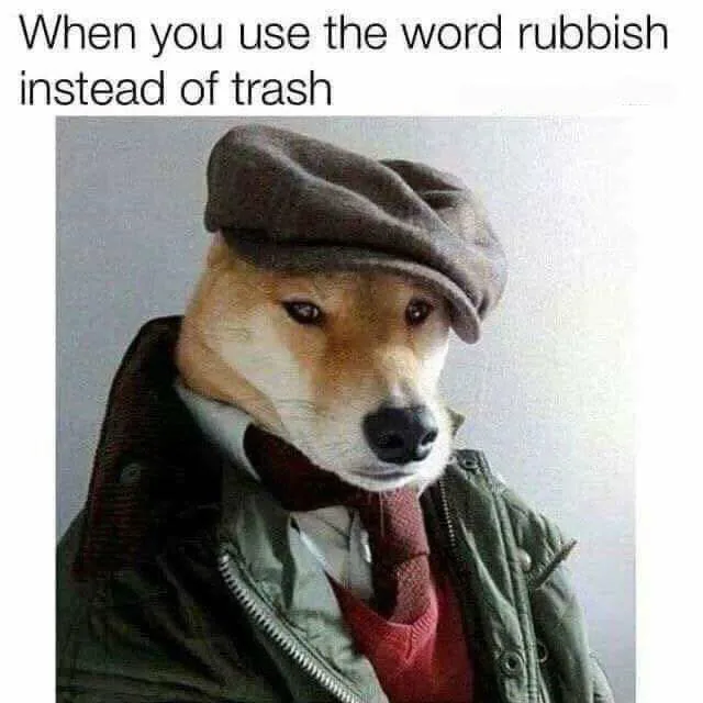 trash meme
