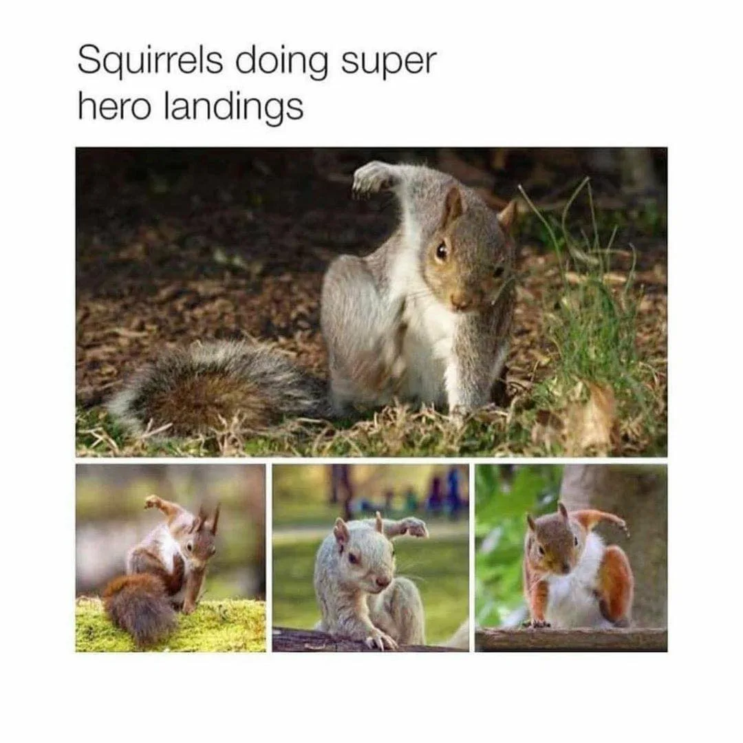 superhero meme