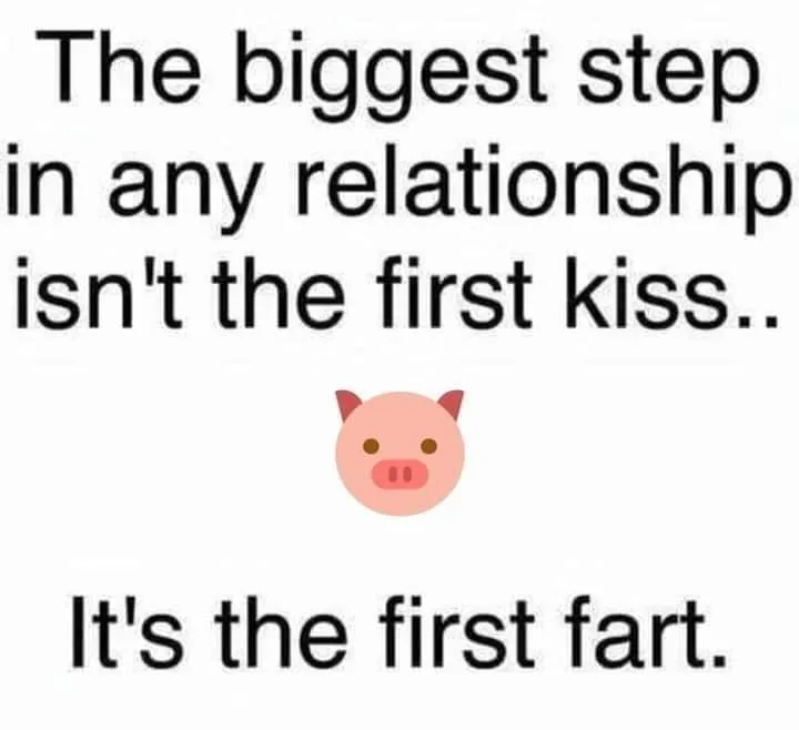 fart meme