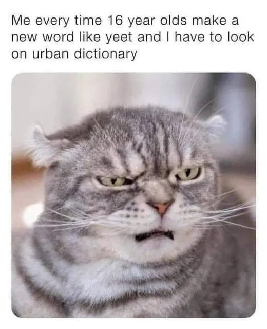 neologism meme