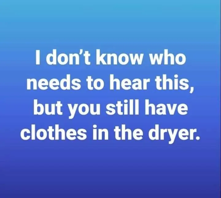 dryer meme