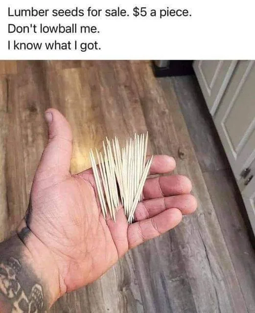 toothpick meme