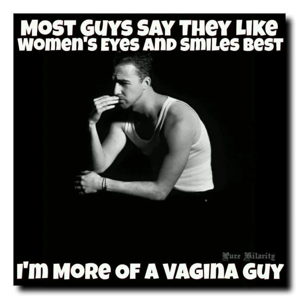 vagina meme