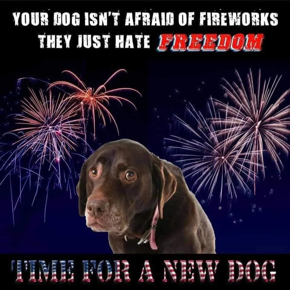 fireworks meme