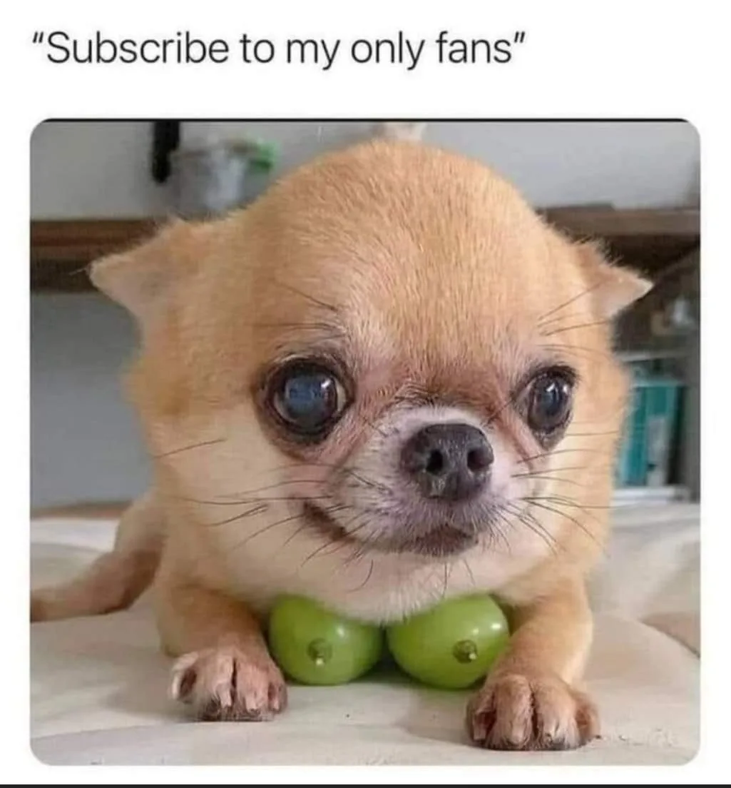Onlyfans meme